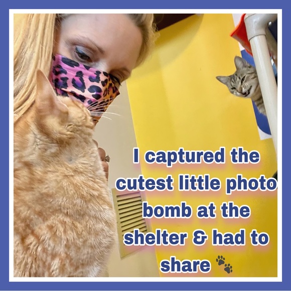 Thanks for Joining Me PFFS! SPREAD #PoshLove & Share ๐ป โPETS Posh Party" 2/08 - Picture 8 of 10